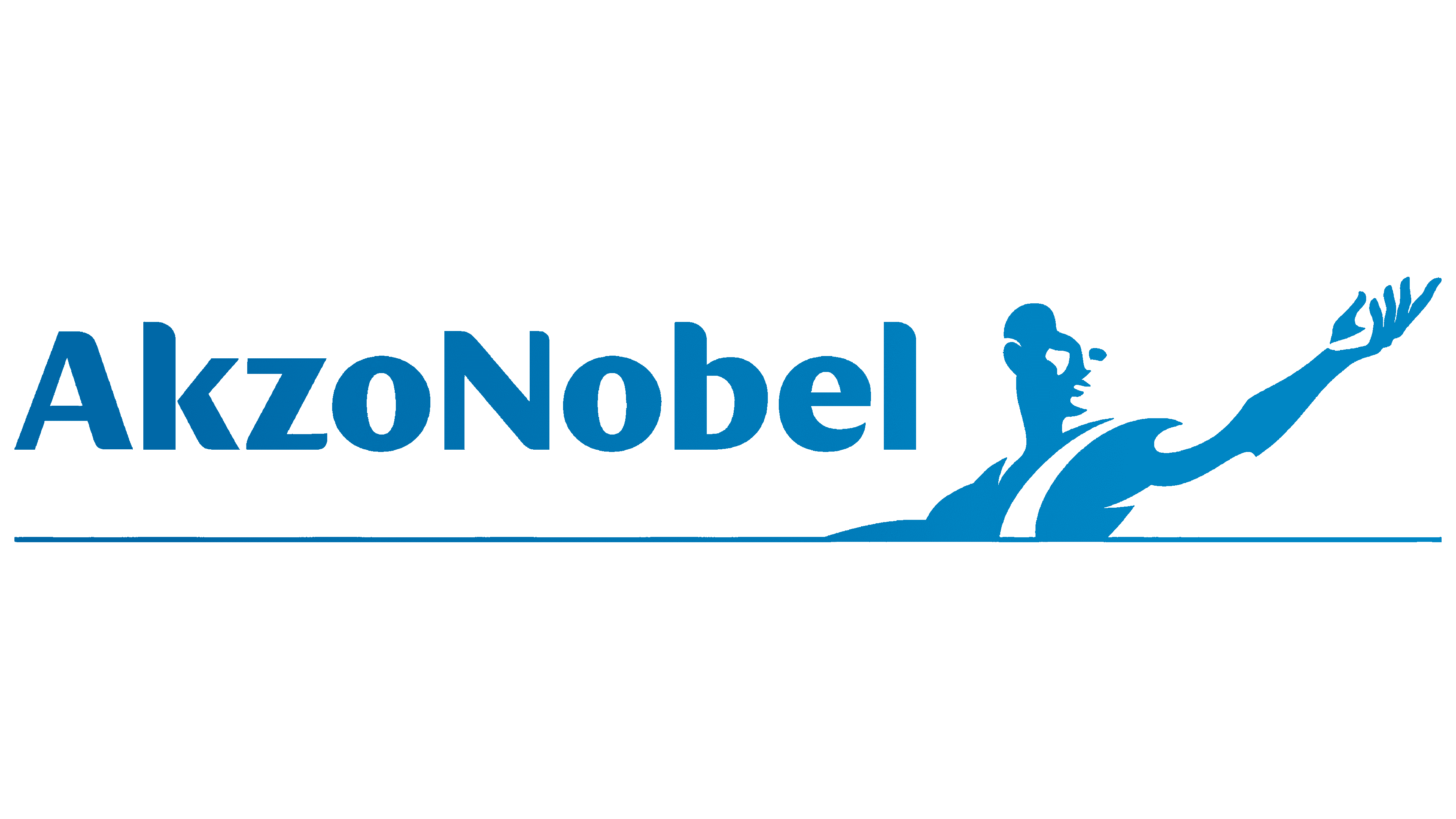 AkzoNobel Case Study