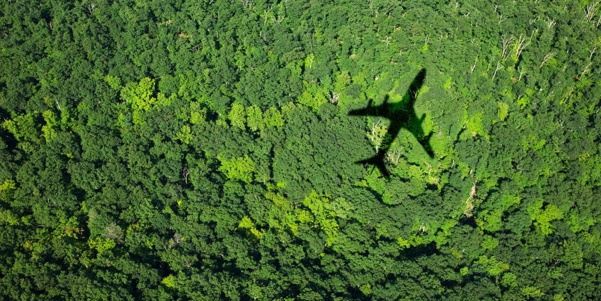 shadow of airplane over forest